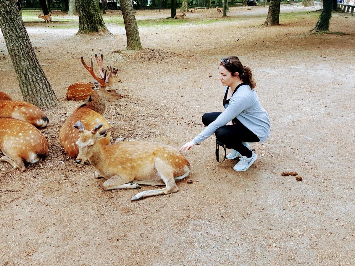 chiara travel designer a nara in giappone