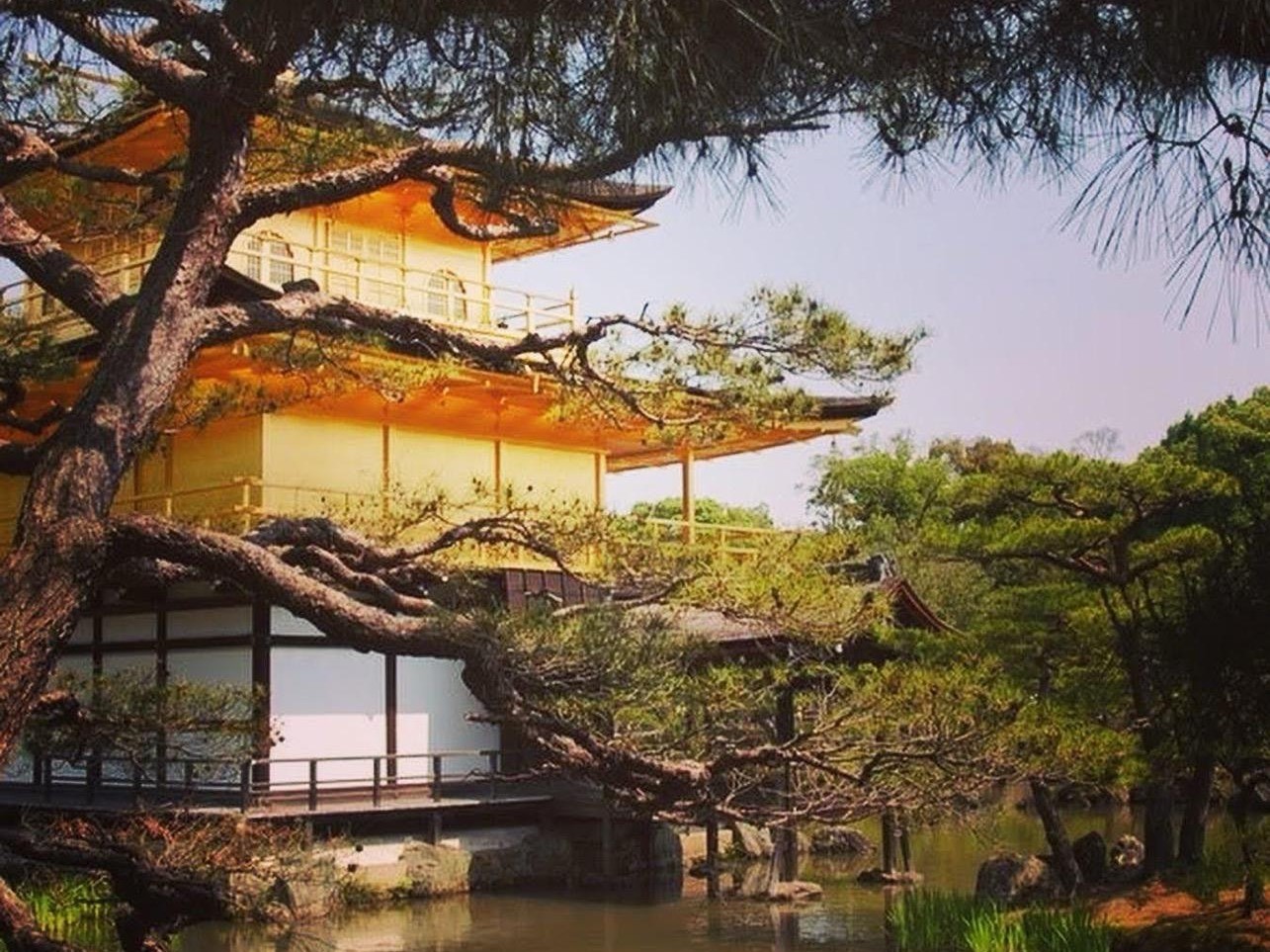 tempio d'oro a kyoto